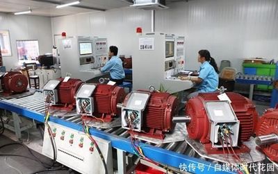 辽宁省电机制造公司优秀企业推荐