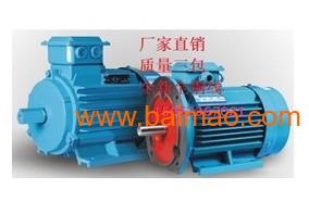 高效节能三相异步电动机 市场热销下的制造趋势与价格解析